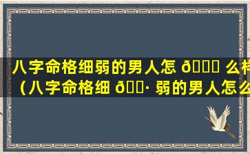 八字命格细弱的男人怎 🍀 么样（八字命格细 🌷 弱的男人怎么样呢）